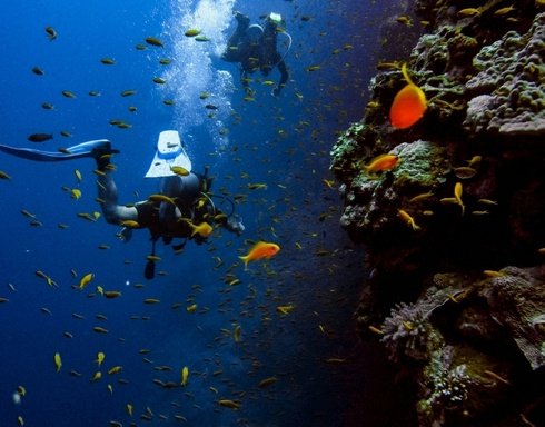 Antalya Diving