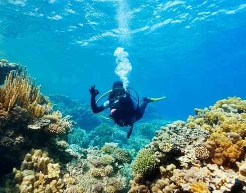 Scuba Diving Ve Serbest Dalış Temel Farklar