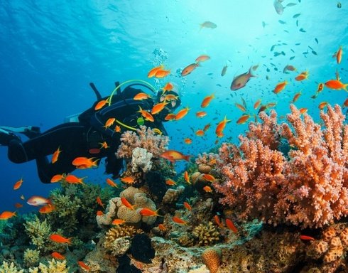 Kadriye Scuba Diving