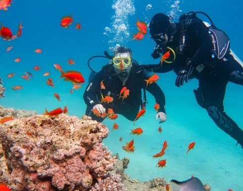 Türkiye'de En Iyi Tüplü Dalış Yapılan 10 Yer Listesi