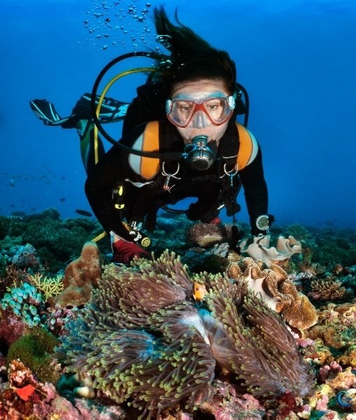 Scuba Dıvıng 2