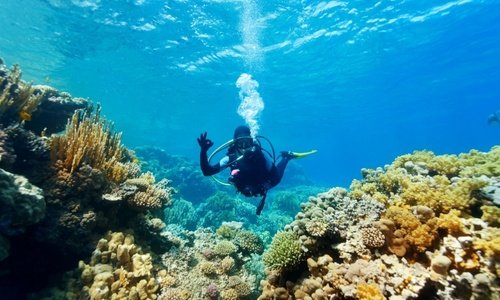 Scuba Diving 13