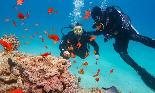 Scuba Diving 15