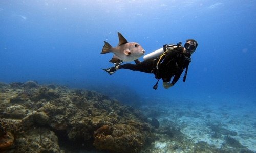 Scuba Diving 16