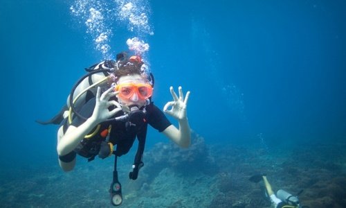 Scuba Diving 14