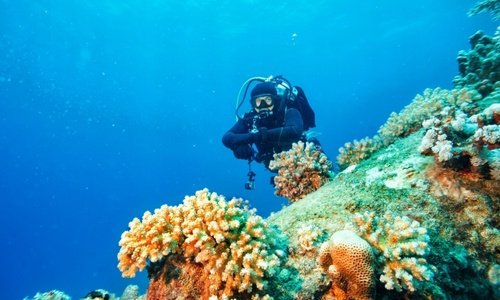 Scuba Diving 6