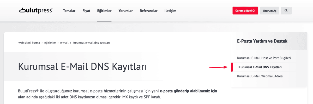 11 domain dns kayıtlarınızı oluşturun