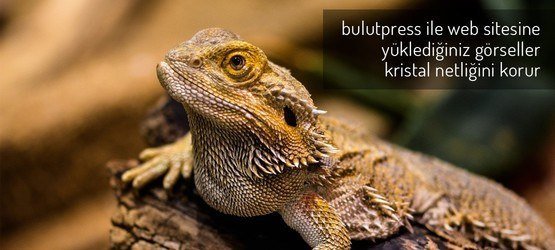 Web Sitenize Eklediğiniz Görseller Cam Netliğinde İşlenir