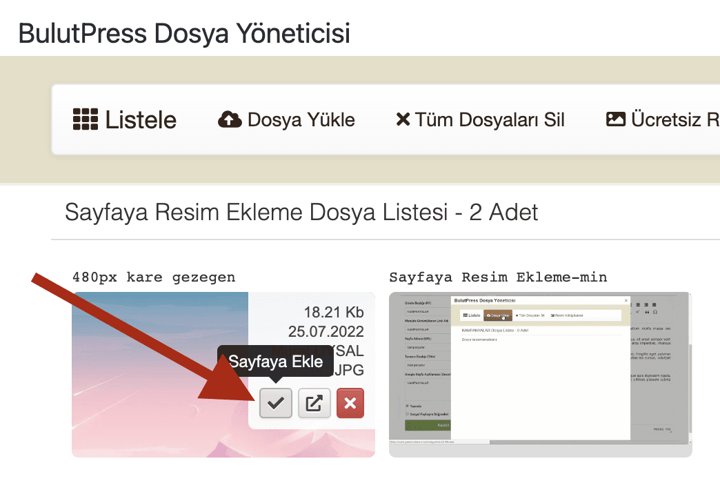 4 eklemek istediğiniz görselin üzerine gelin ve sayfaya ek