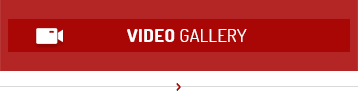 canlar-fruit-video