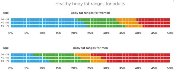 body fat degree