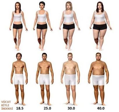 obesity-study2