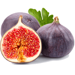 Fig