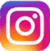 ins icon