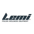 Lemi-Group-