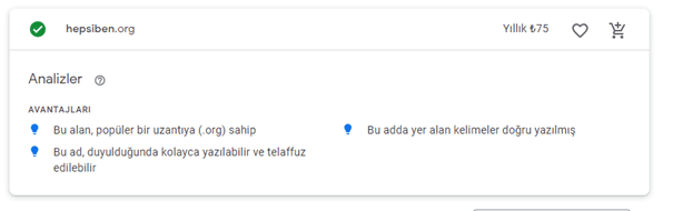 google-domains-3