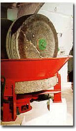 Zeytinin Tarihçesi 1