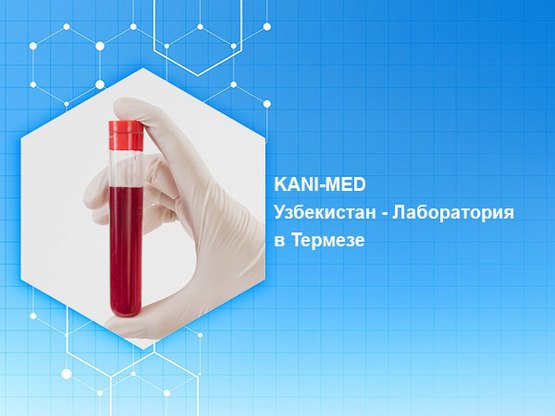 KANI-MED Узбекистан - Лаборатория в Термезе