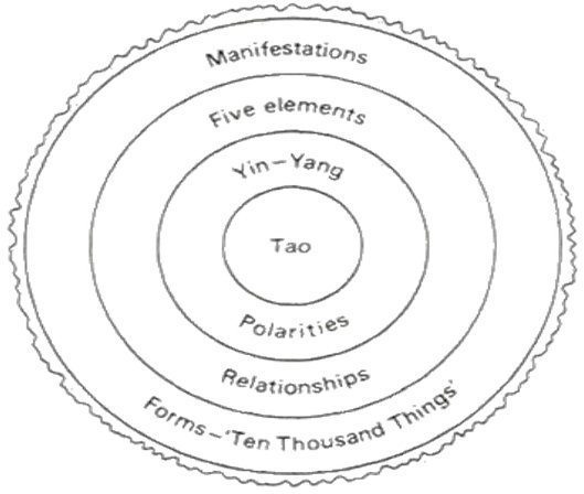 Akupunktur Prensipleri