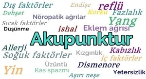 Akupunktur
