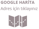 google-harita