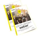 weber çözüm rehberi