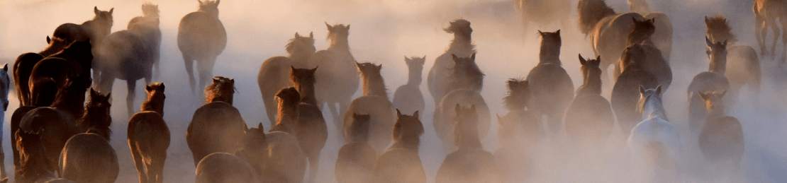 185988,hurmetlerkoyujpg (1)