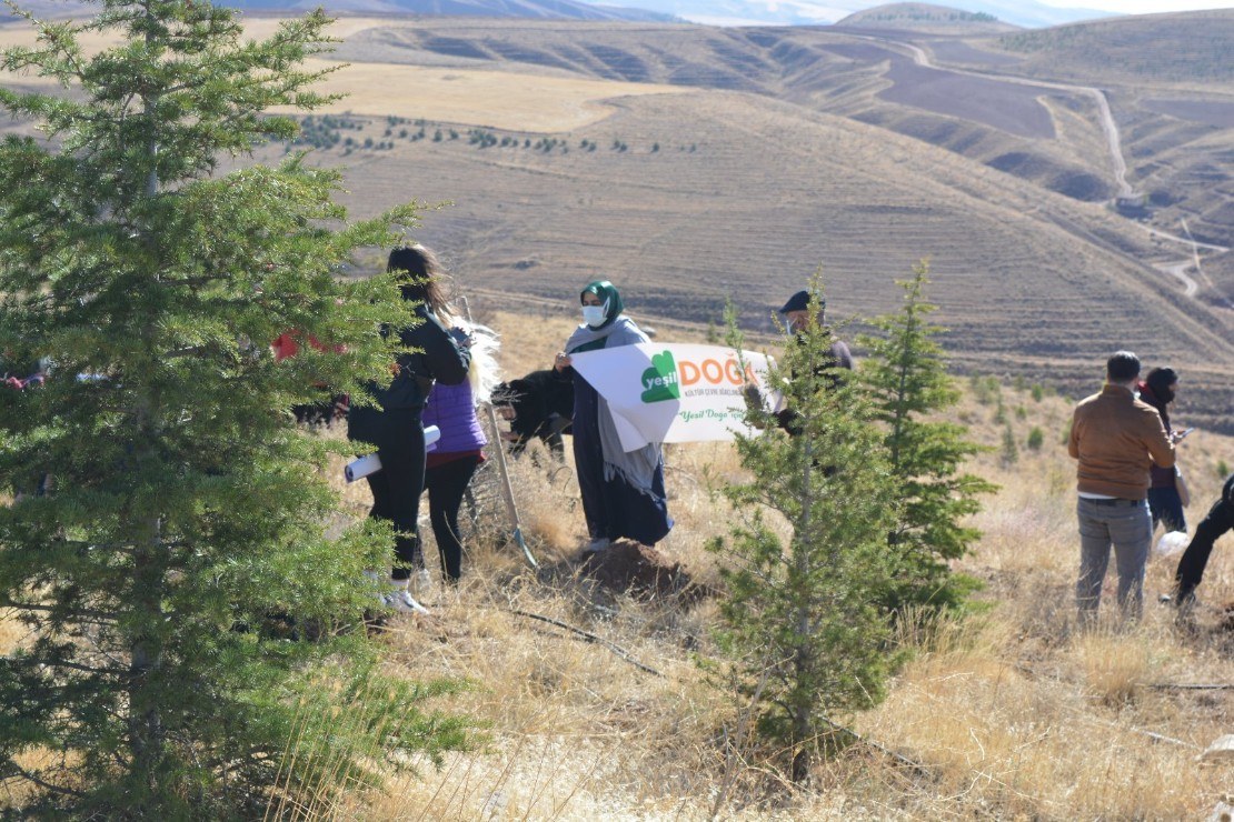 540454c1-b763-4b04-9699-2b74923b4358