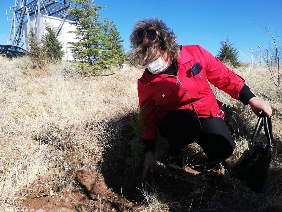 124156405_10158704985391877_6045539560012208468_n