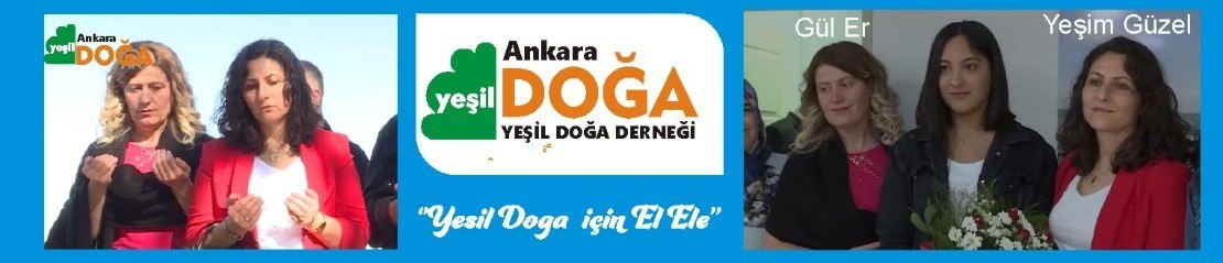 yeşil_doğa_ankara