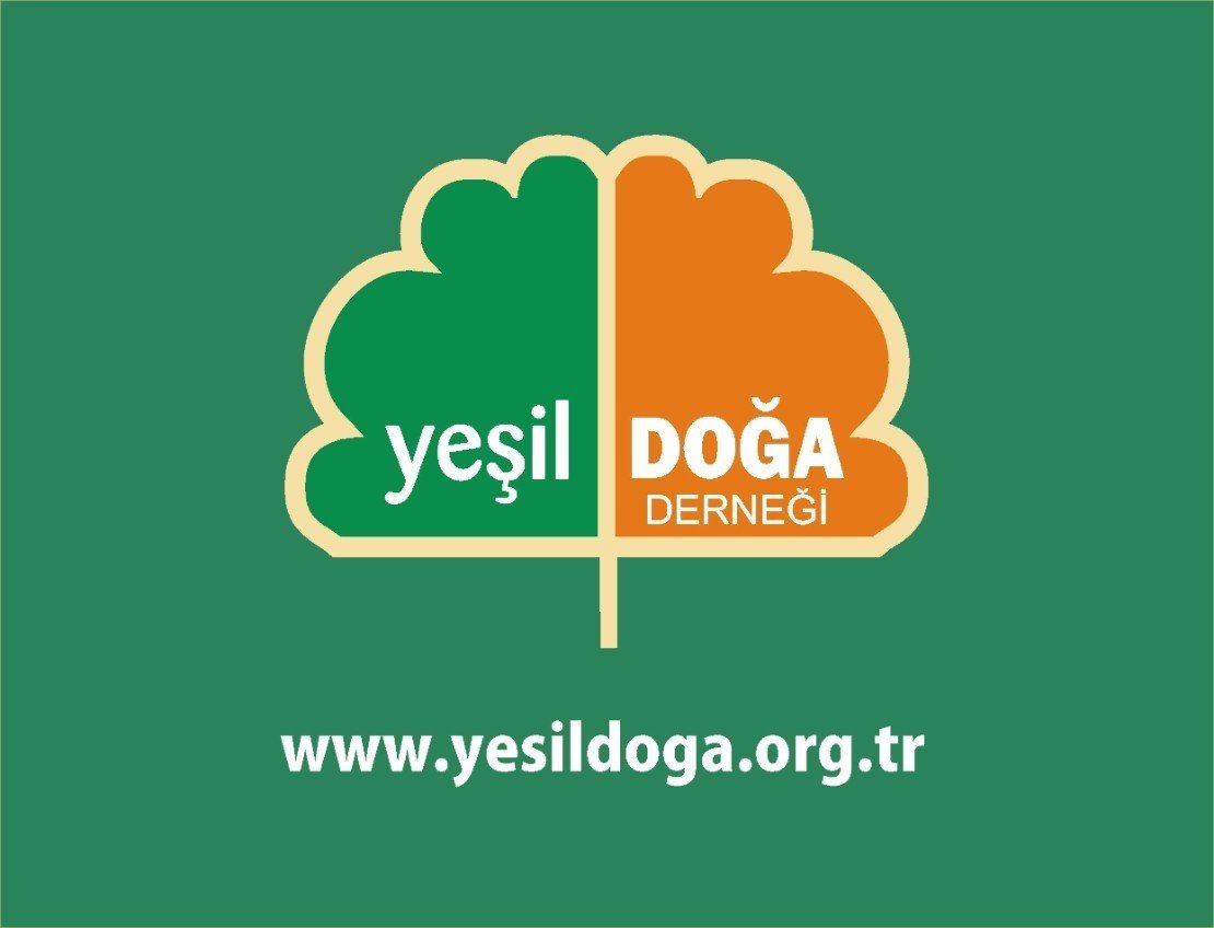 yeşil doğa