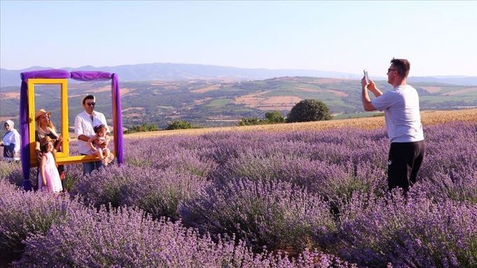 thumbs_b_c_e0aa1fd11a20b48fbb92c283baa1b51d