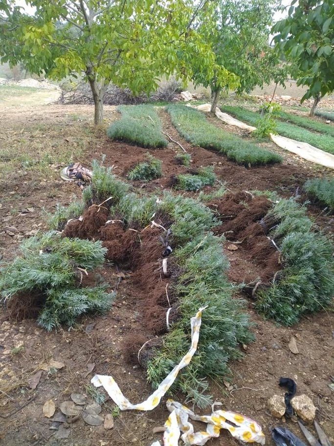 125121370_10158714247876877_701222783732319296_n