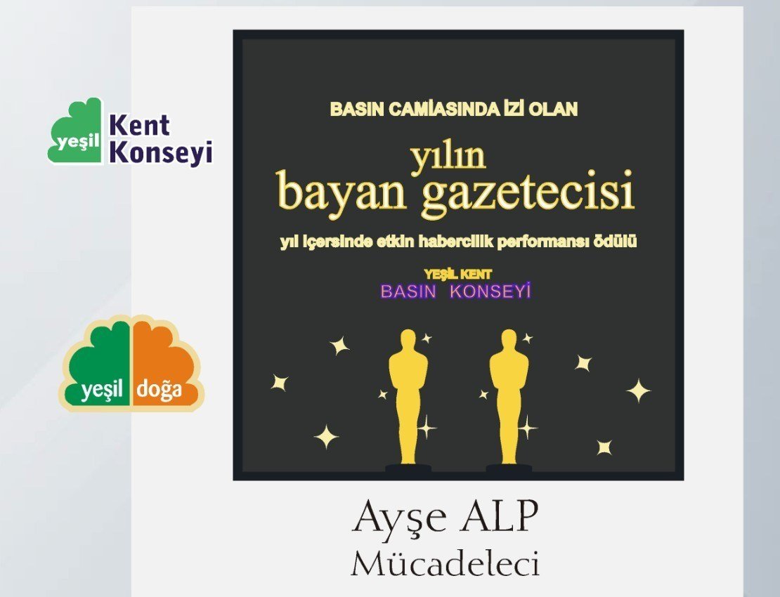 ayşe alp