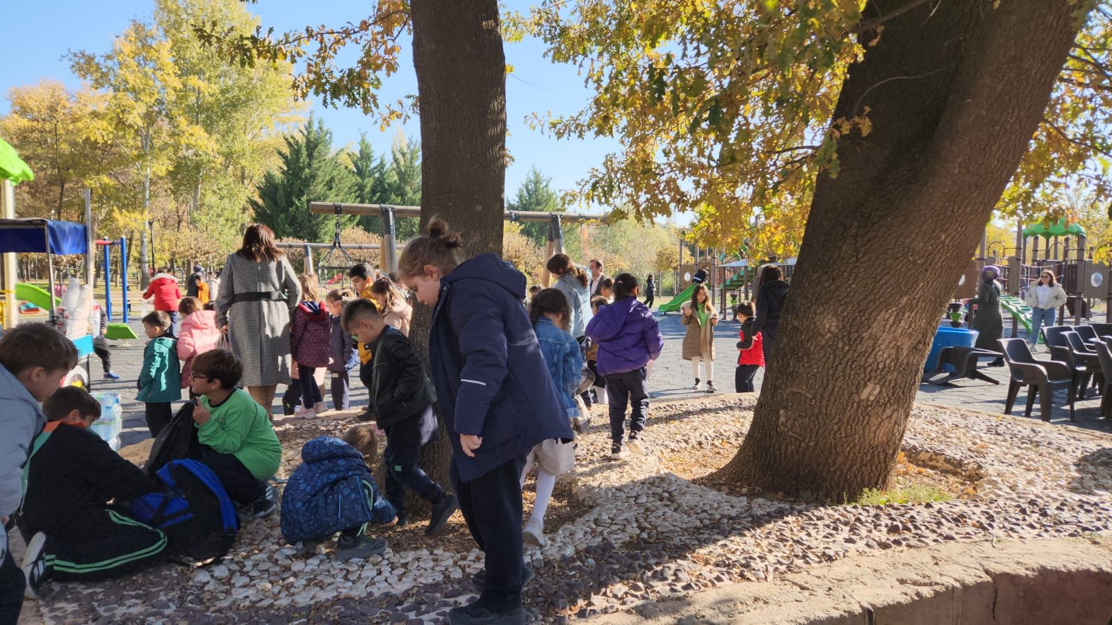 7e994f39-64ad-4dec-b6d8-c8e0919e04bf