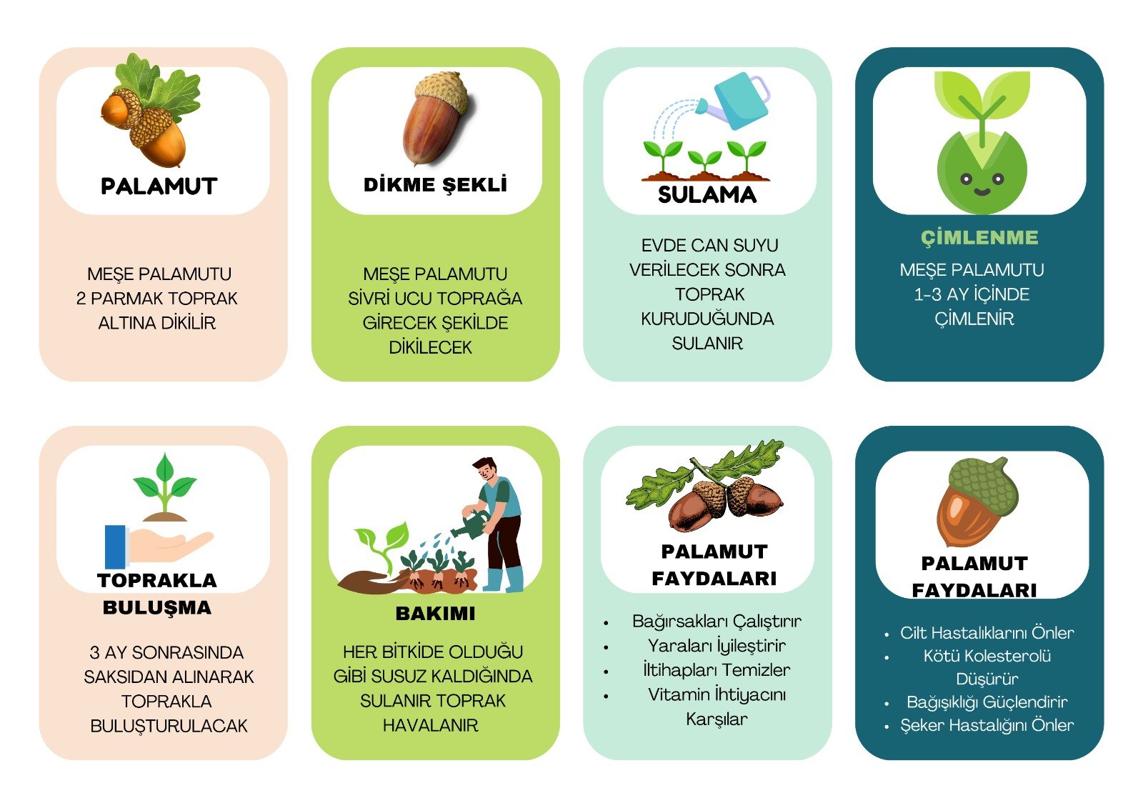 b6f22894-266e-4ae6-bb41-77034bfd6c7d