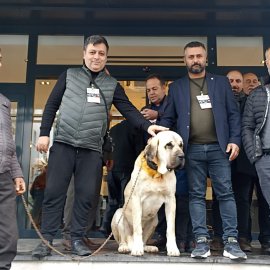 ccb7186c-76d8-4bbe-a5b2-f7a5dd498afd