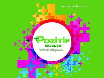 Praesent nisi lectus, consequat non