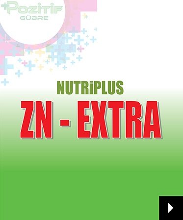znextra