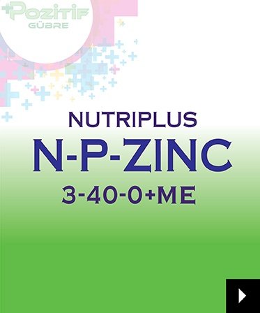 npzinc