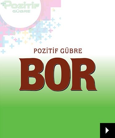 bor