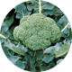 brokoli