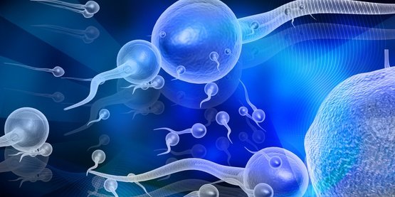 Yumurta Ve Sperm Donasyonu