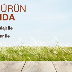 banner_15.06.2023_d913d3e