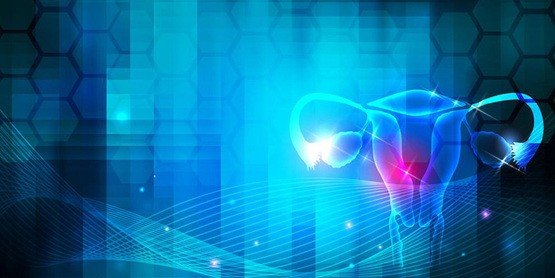 Aşılama tutma şansı