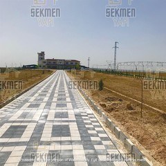 8-25-25-parke-tasi (1)