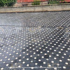 8-25-25-parke-tasi (2)