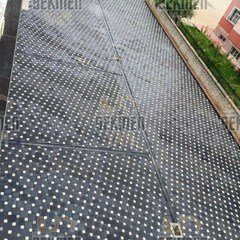 8-25-25-parke-tasi (3)