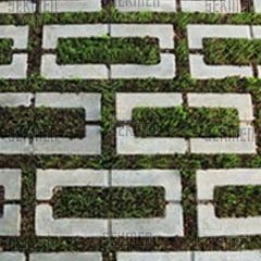 Naturalis Parke Taşı