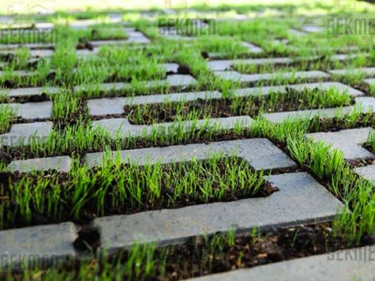 Naturalis Parke Taşı